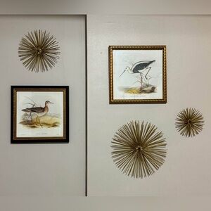 Framed Vintage Bird Prints – Set of 2 Wall Art (pictures only)
